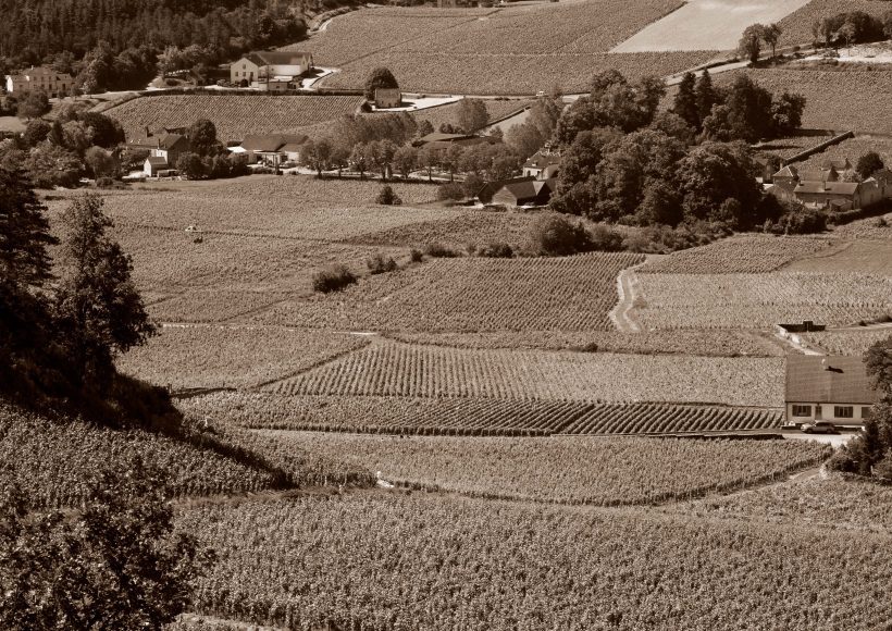 Les vignobles de la région Bourgogne